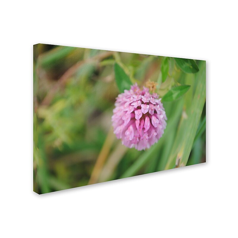 Trademark Monica Fleet "Sui Generis" Gallery-Wrapped Canvas Art, 22" x 32" image 1