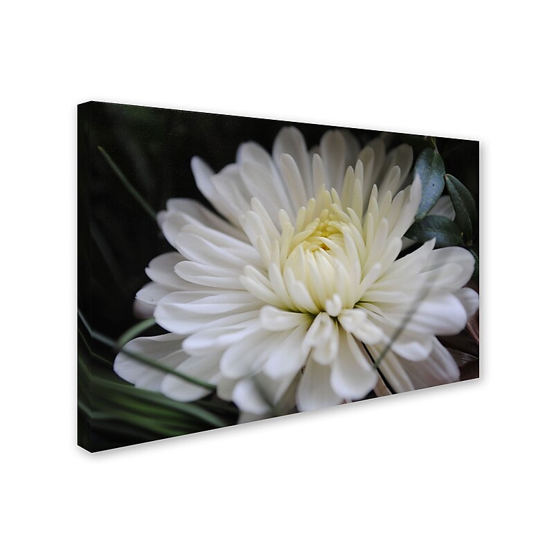 Trademark Monica Fleet "Vintage Culture" Gallery-Wrapped Canvas Art, 16" x 24" image 1