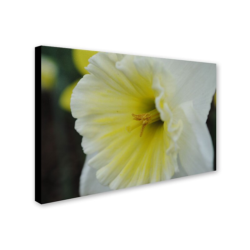 Trademark Monica Fleet "Vitality" Gallery-Wrapped Canvas Art, 16" x 24" image 1