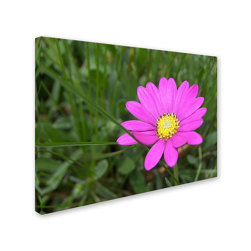 Trademark Monica Fleet "Alluring Vibrance" Gallery-Wrapped Canvas Art, 35" x 47" image 1