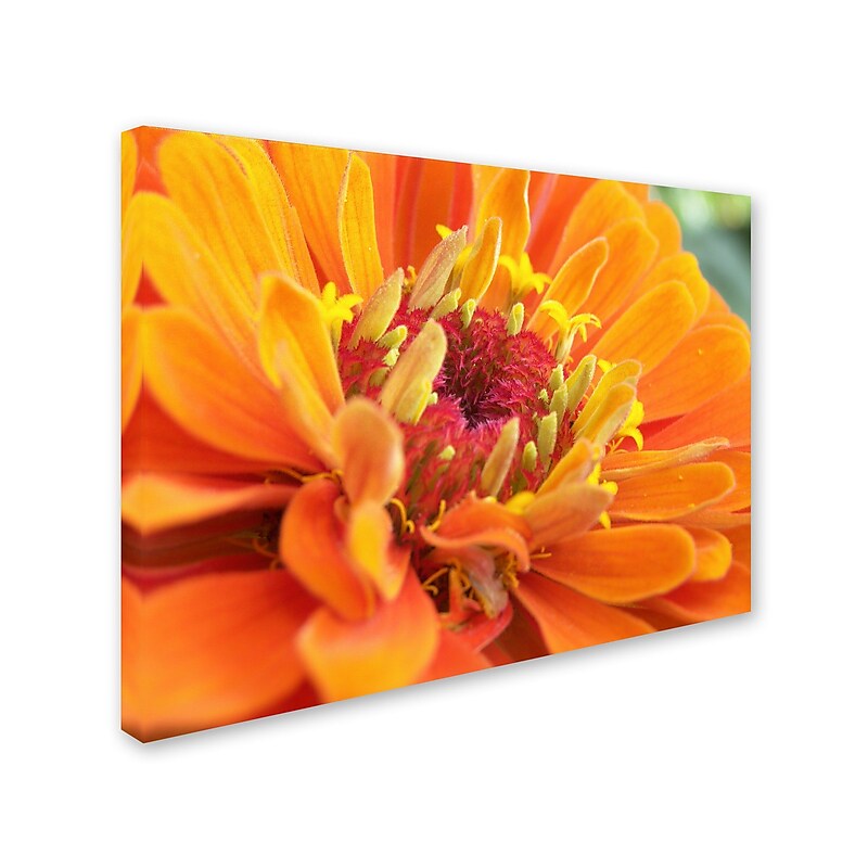 Trademark Monica Fleet "Balanced Beauty" Gallery-Wrapped Canvas Art, 35" x 47" image 1