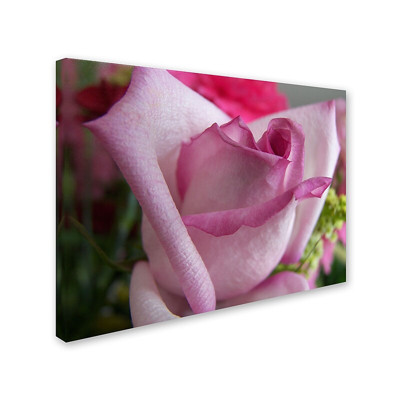 Trademark Monica Fleet "Deep Desire" Gallery-Wrapped Canvas Art, 35" x 47" image 1