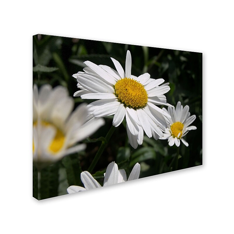 Trademark Monica Fleet "Dominating Beauty" Gallery-Wrapped Canvas Art, 14" x 19" image 1