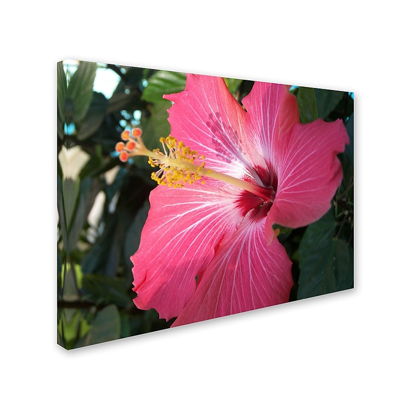 Trademark Monica Fleet "Empowering Bliss" Gallery-Wrapped Canvas Art, 35" x 47" image 1