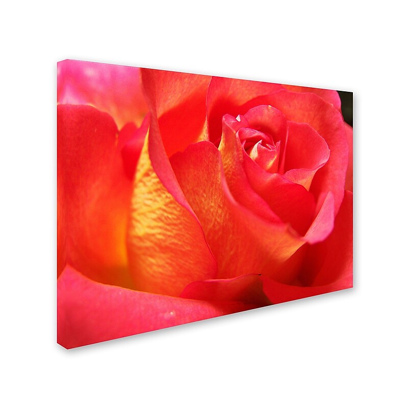 Trademark Monica Fleet "Empowering Heart" Gallery-Wrapped Canvas Art, 35" x 47" image 1