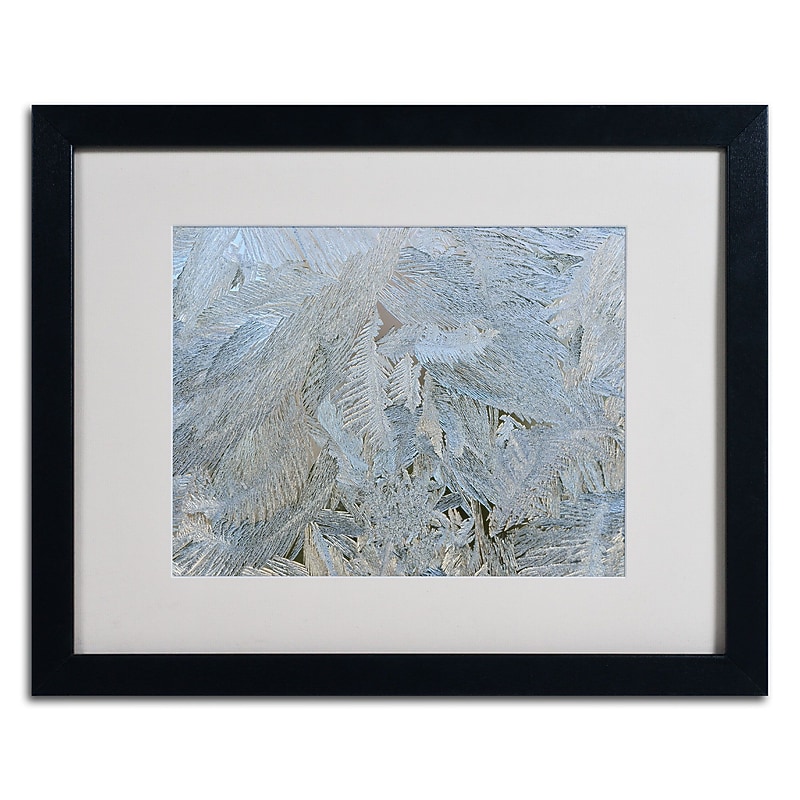 Trademark Kurt Shaffer "Frost Pattern #5" Art, White Matte W/Black Frame, 16" x 20" image 1