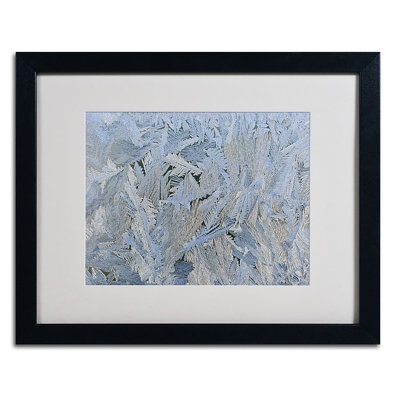 Trademark Kurt Shaffer "Frost Pattern #6" Art, White Matte W/Black Frame, 16" x 20" image 1
