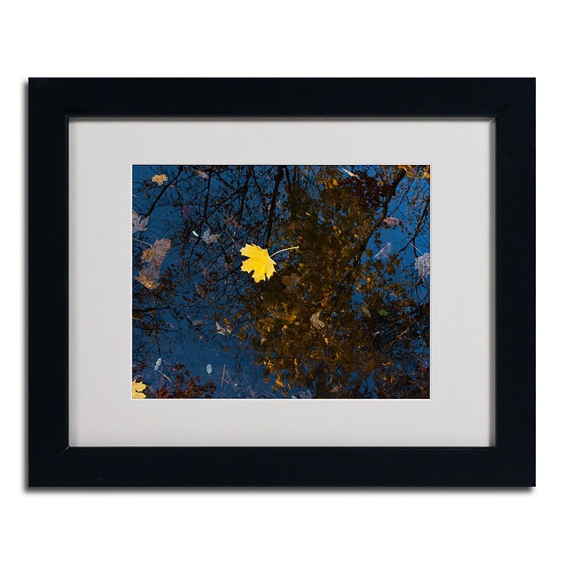 Trademark Kurt Shaffer "Maple Water" Art, White Matte W/Black Frame, 11" x 14" image 1