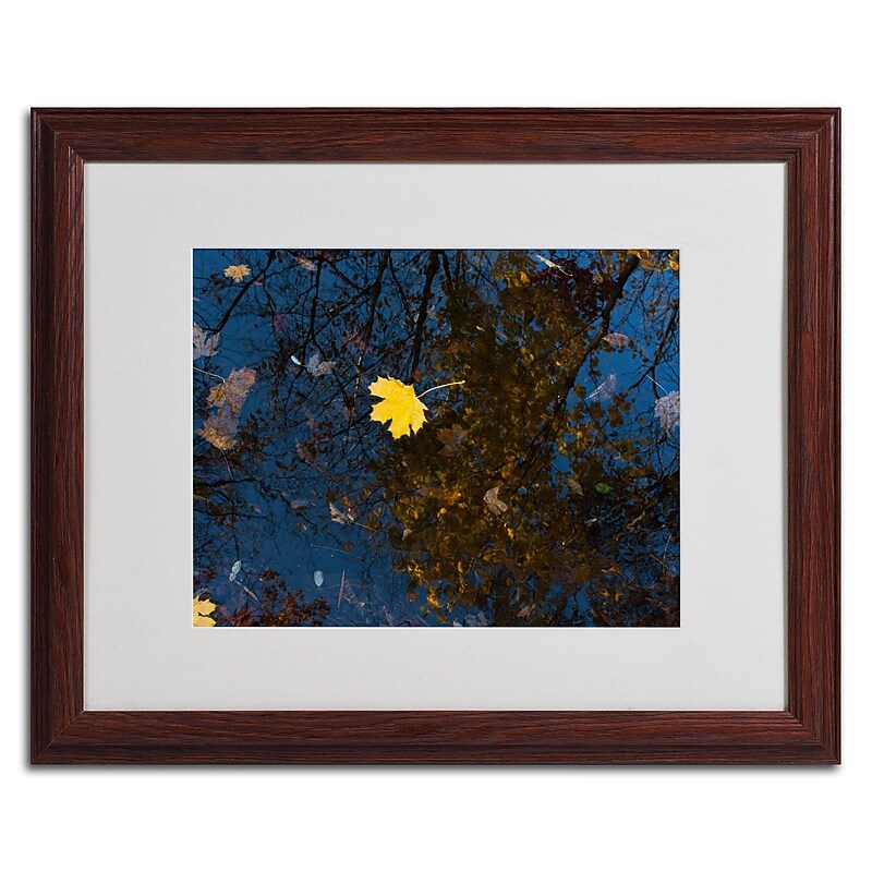 Trademark Kurt Shaffer "Maple Water" Art, White Matte W/Wood Frame, 16" x 20" image 1