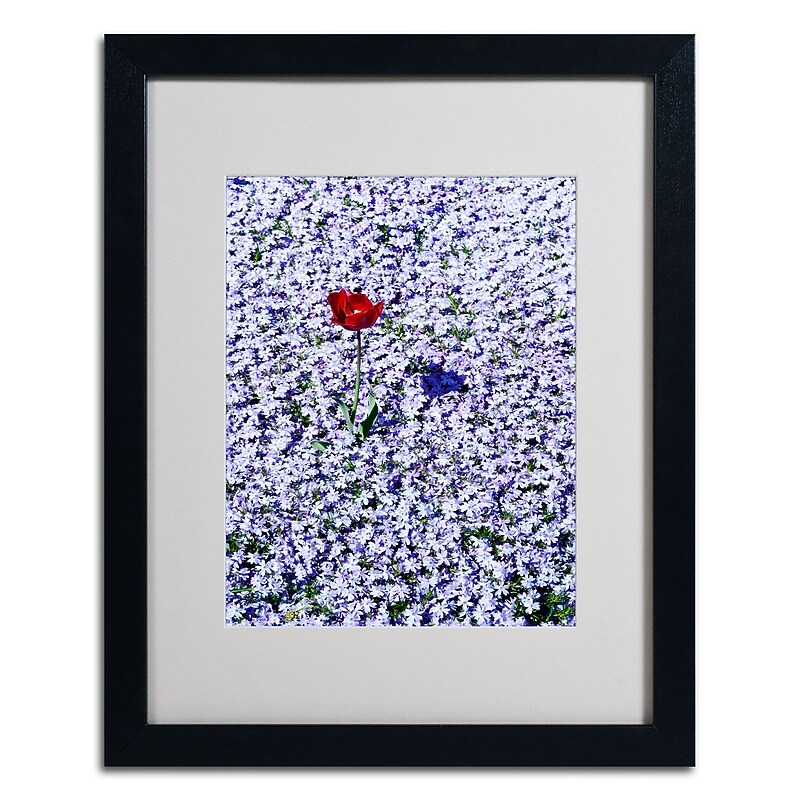 Trademark Kurt Shaffer "One Red Tulip" Art, White Matte W/Black Frame, 16" x 20" image 1