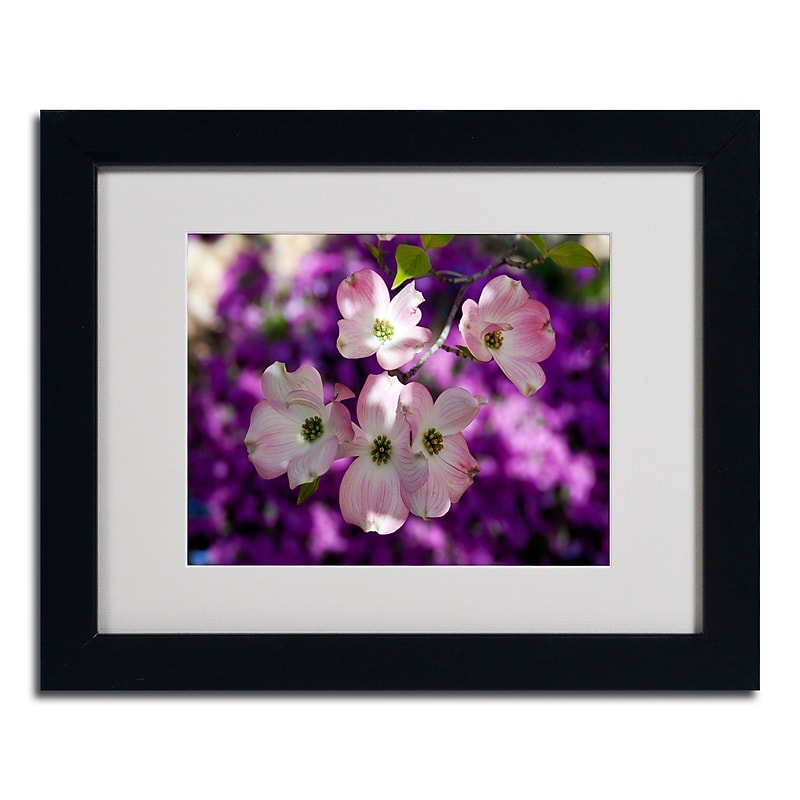 Trademark Kurt Shaffer "Pink Dogwood" Art, White Matte W/Black Frame, 11" x 14" image 1