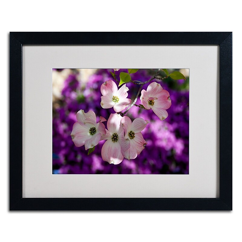 Trademark Kurt Shaffer "Pink Dogwood" Art, White Matte W/Black Frame, 16" x 20" image 1