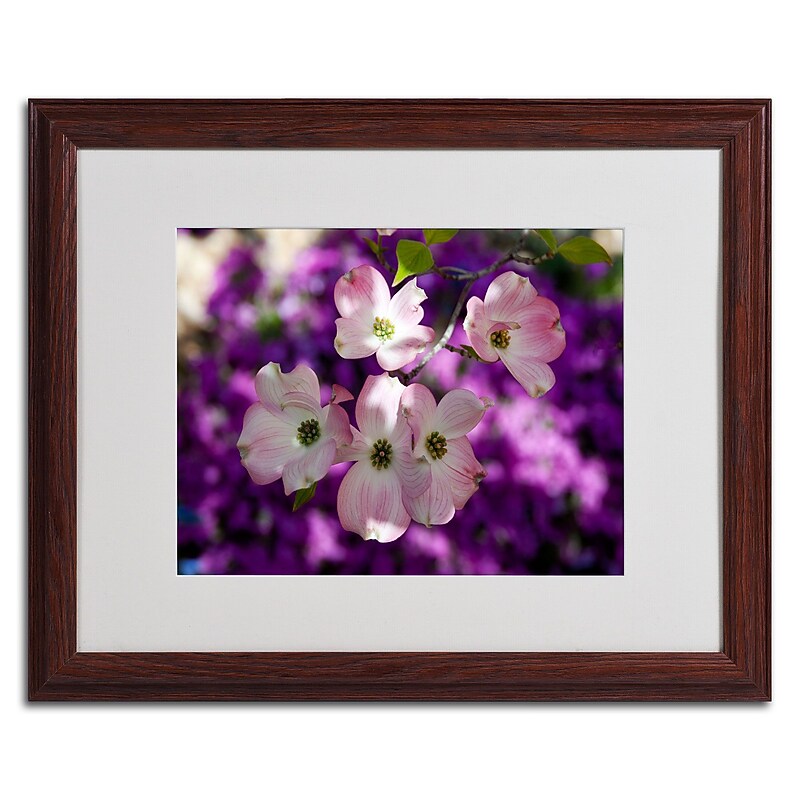 Trademark Kurt Shaffer "Pink Dogwood" Art, White Matte W/Wood Frame, 16" x 20" image 1