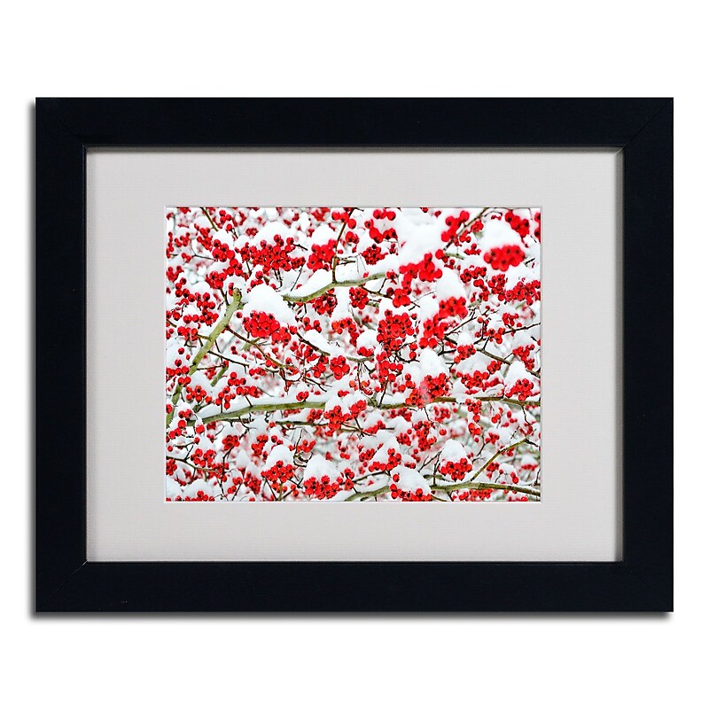 Trademark Kurt Shaffer "Winter Berries in the Snow" Art, White Matte W/Black Frame, 11" x 14" image 1