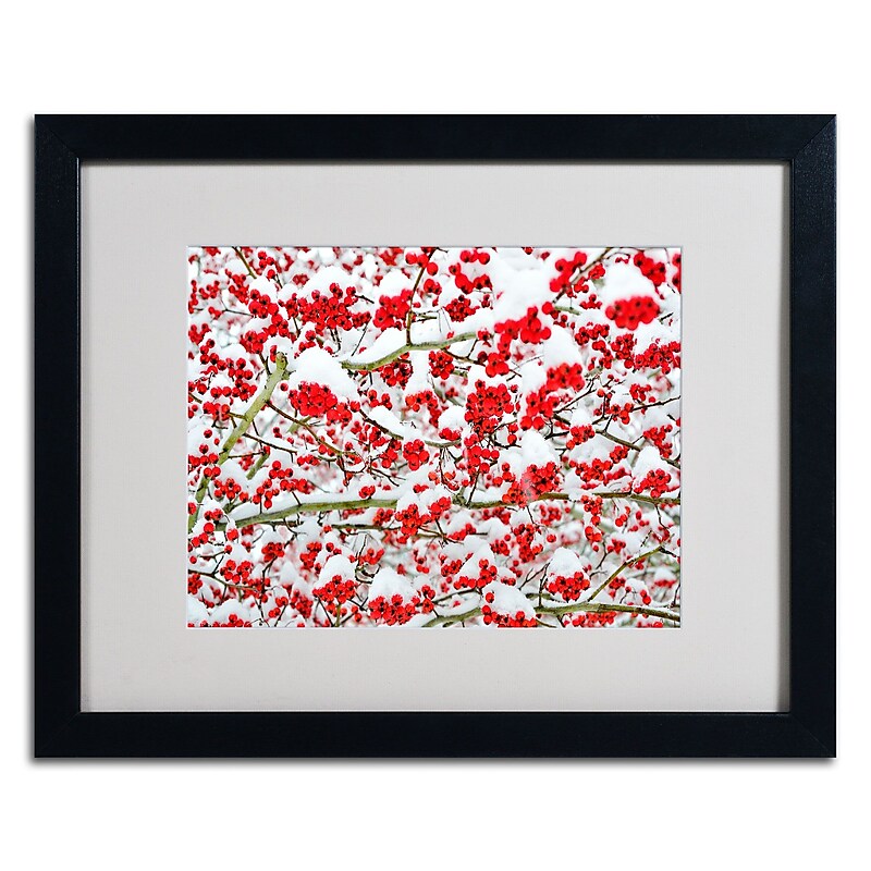 Trademark Kurt Shaffer "Winter Berries in the Snow" Art, White Matte W/Black Frame, 16" x 20" image 1
