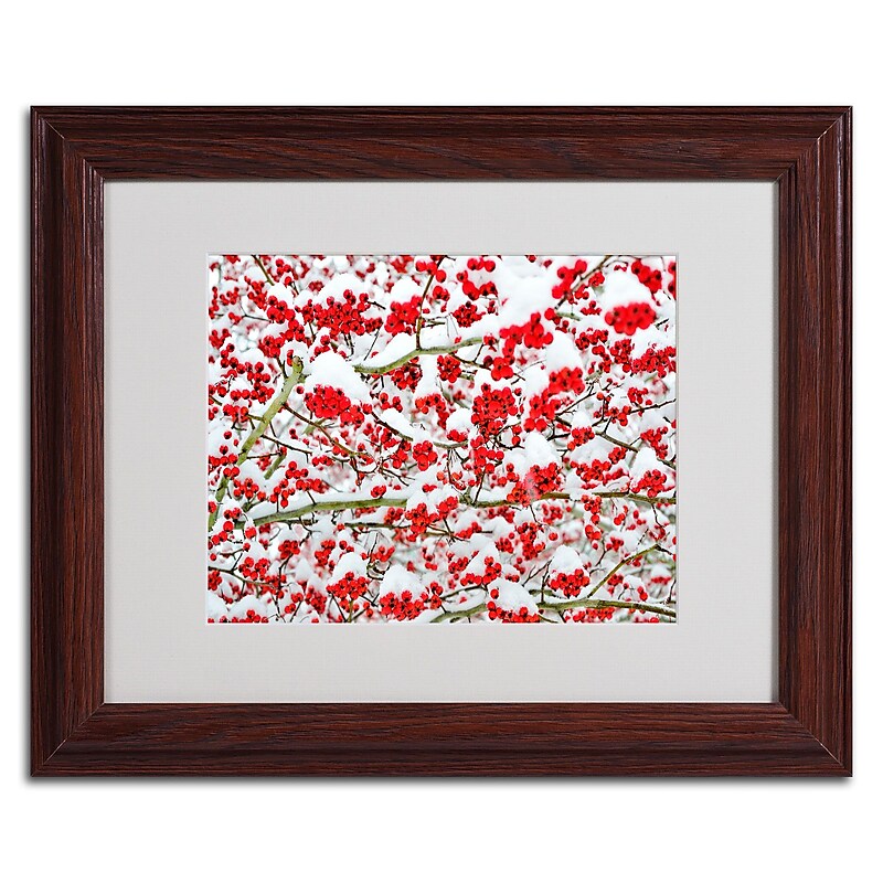 Trademark Kurt Shaffer "Winter Berries in the Snow" Art, White Matte W/Wood Frame, 11" x 14" image 1