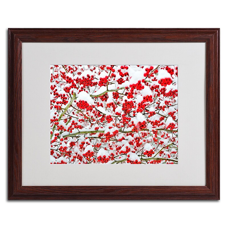 Trademark Kurt Shaffer "Winter Berries in the Snow" Art, White Matte W/Wood Frame, 16" x 20" image 1