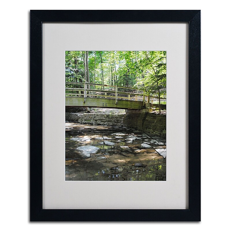Trademark Monica Fleet "Amicable Escape" Art, White Matte W/Black Frame, 16" x 20" image 1