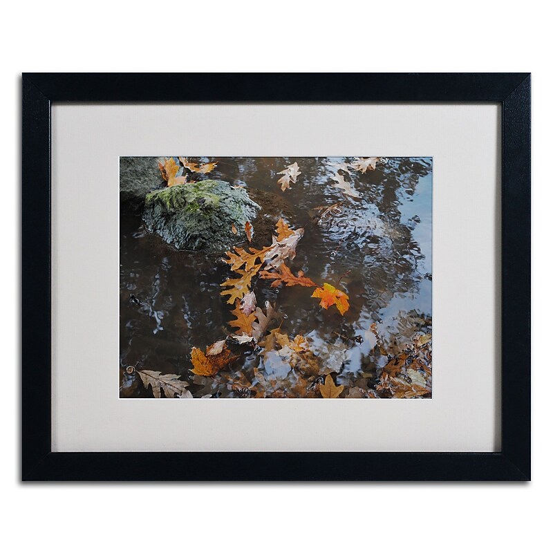 Trademark Monica Fleet "Buoyant" Art, White Matte W/Black Frame, 16" x 20" image 1