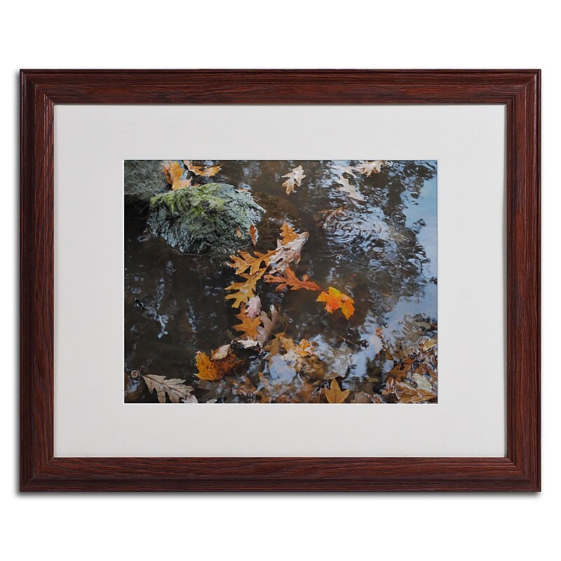 Trademark Monica Fleet "Buoyant" Art, White Matte W/Wood Frame, 16" x 20" image 1