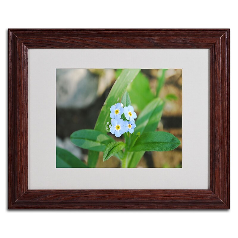 Trademark Monica Fleet "Dignified Characteristic" Art, White Matte W/Wood Frame, 11" x 14" image 1