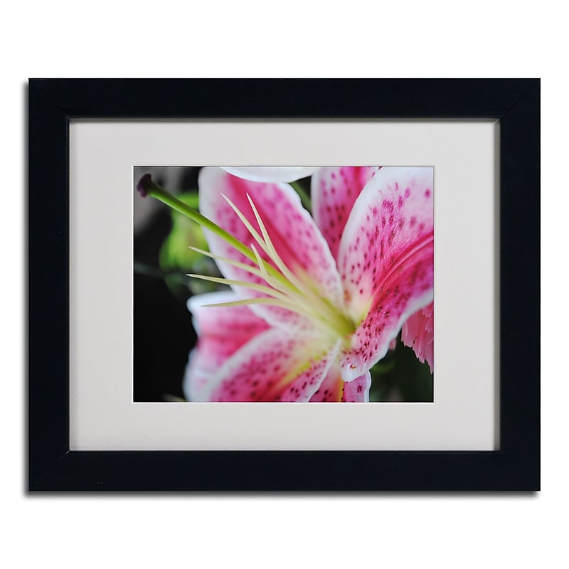Trademark Monica Fleet "Pink Flower" Art, White Matte W/Black Frame, 11" x 14" image 1