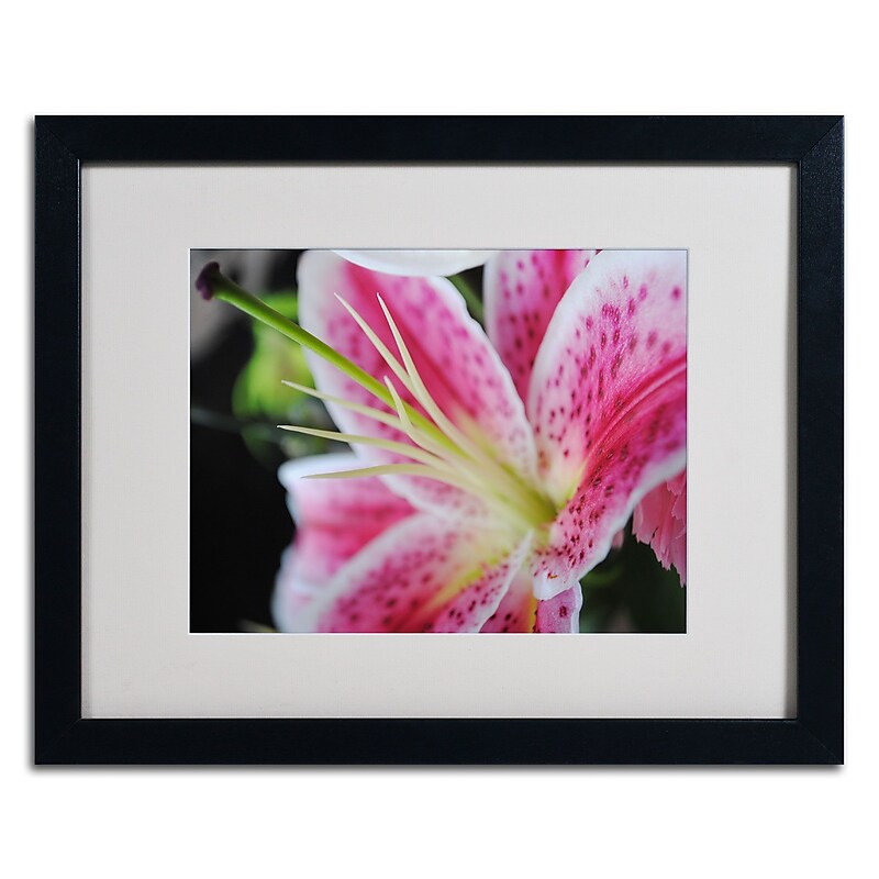 Trademark Monica Fleet "Pink Flower" Art, White Matte W/Black Frame, 16" x 20" image 1