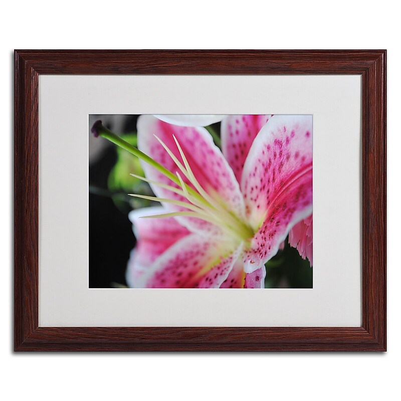 Trademark Monica Fleet "Pink Flower" Art, White Matte W/Wood Frame, 16" x 20" image 1