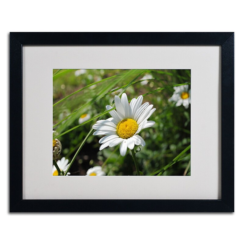Trademark Monica Fleet "Flawless Imperfection" Art, White Matte W/Black Frame, 16" x 20" image 1
