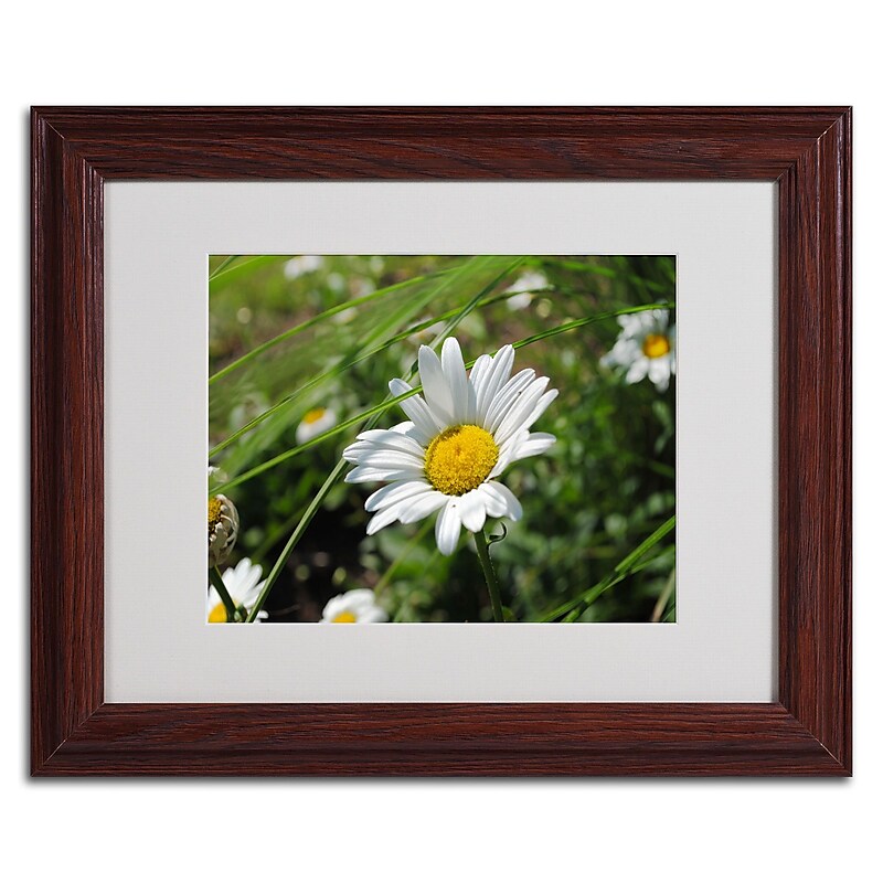Trademark Monica Fleet "Flawless Imperfection" Art, White Matte W/Wood Frame, 11" x 14" image 1
