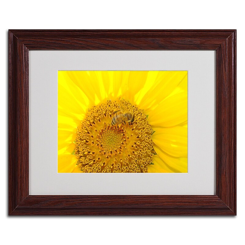 Trademark Monica Fleet "Honey-Maker" Art, White Matte W/Wood Frame, 11" x 14" image 1