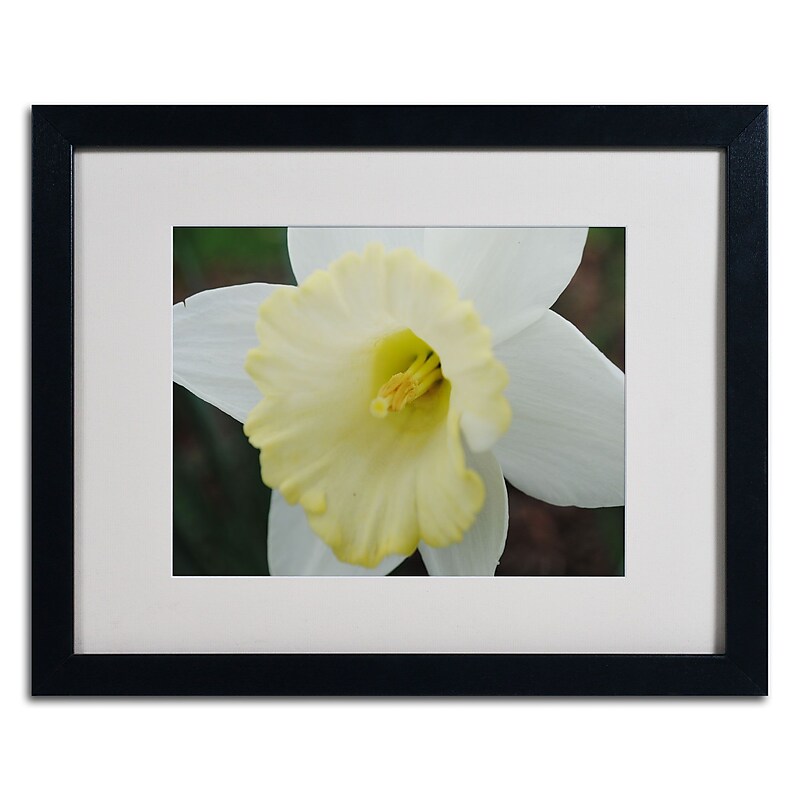 Trademark Monica Fleet "In-Depth" Art, White Matte W/Black Frame, 16" x 20" image 1