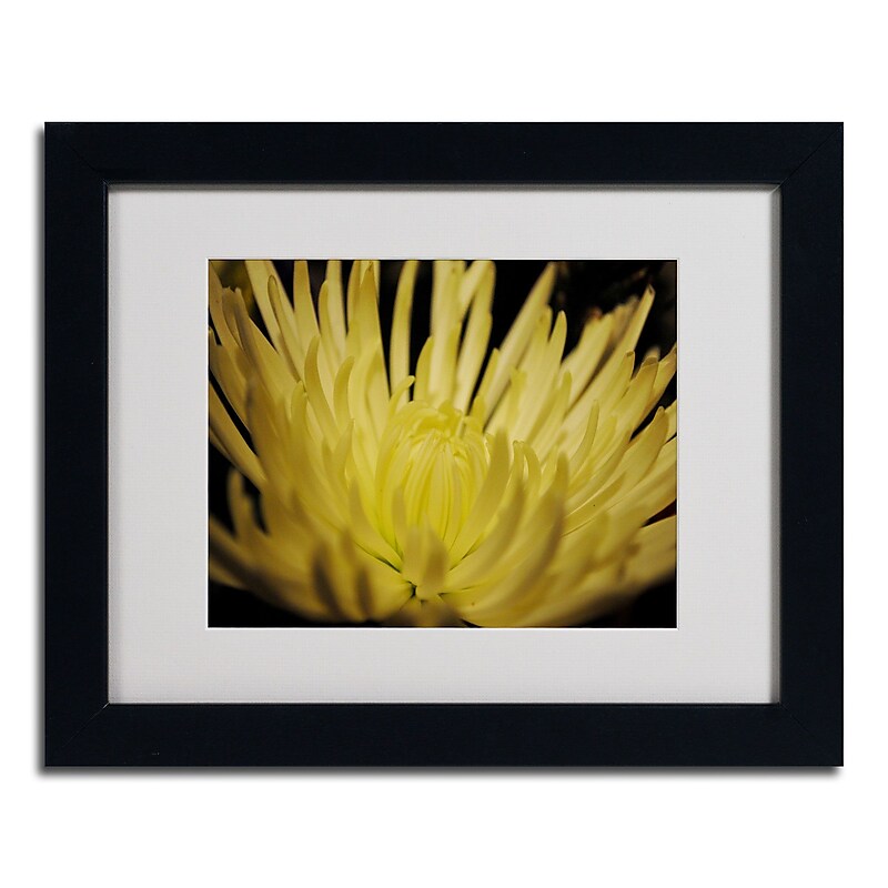 Trademark Monica Fleet "Inner Light" Art, White Matte W/Black Frame, 11" x 14" image 1