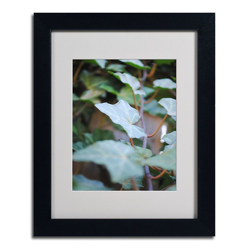 Trademark Monica Fleet "Kletterefeu" Art, White Matte W/Black Frame, 11" x 14" image 1