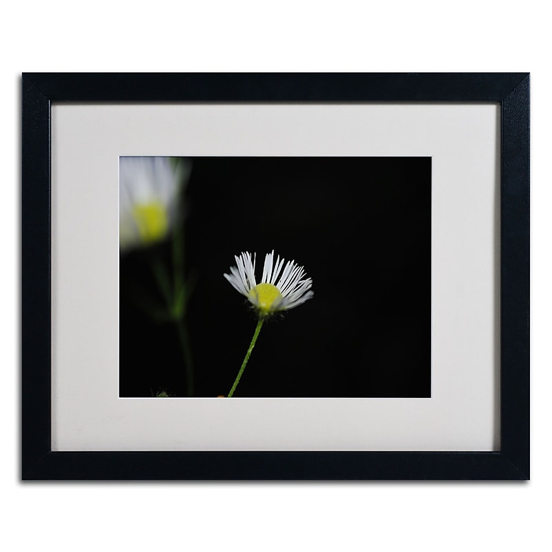 Trademark Monica Fleet "Light in the Dark" Art, White Matte W/Black Frame, 16" x 20" image 1
