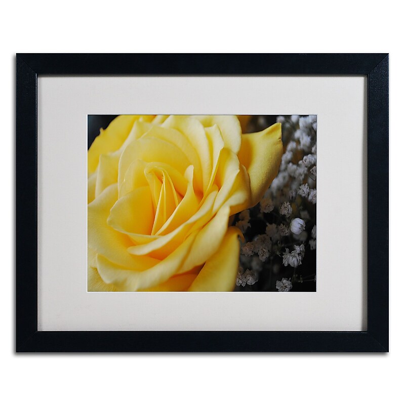 Trademark Monica Fleet "Maha'oi" Art, White Matte W/Black Frame, 16" x 20" image 1