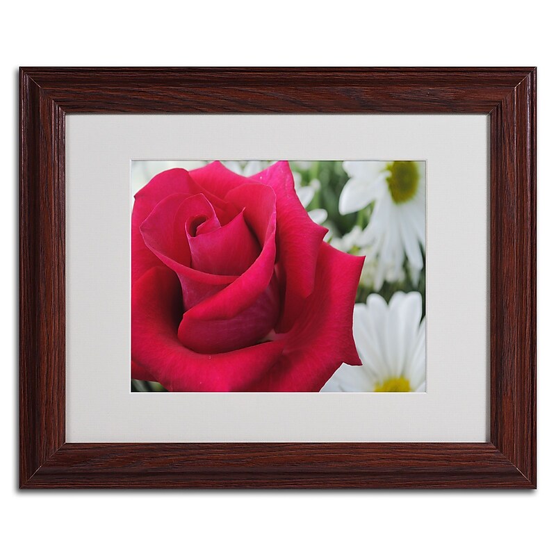 Trademark Monica Fleet "Pristine" Art, White Matte W/Wood Frame, 11" x 14" image 1