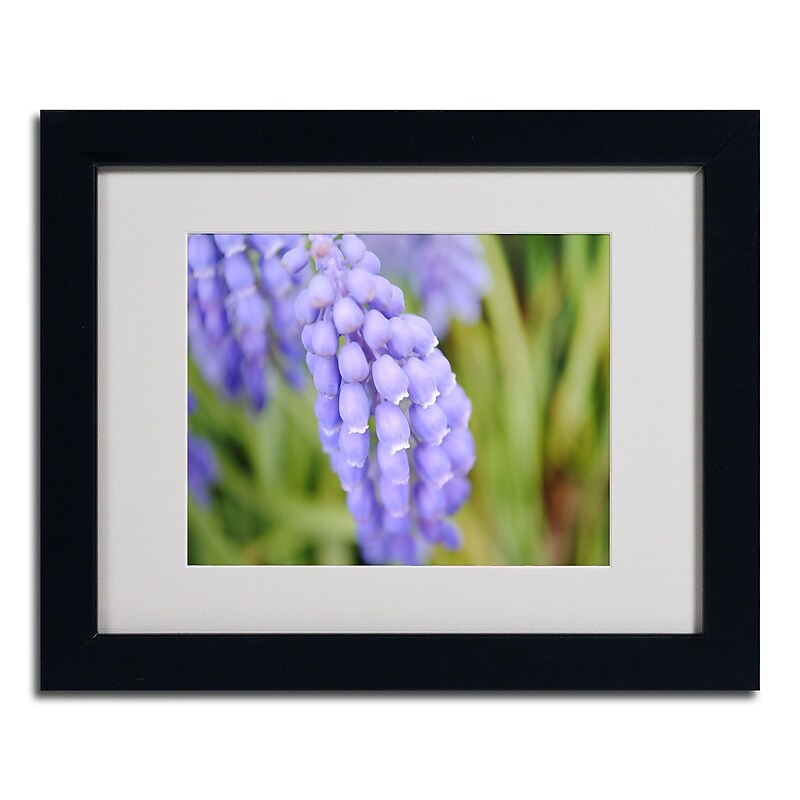 Trademark Monica Fleet "Pulchritudinous" Art, White Matte W/Black Frame, 11" x 14" image 1