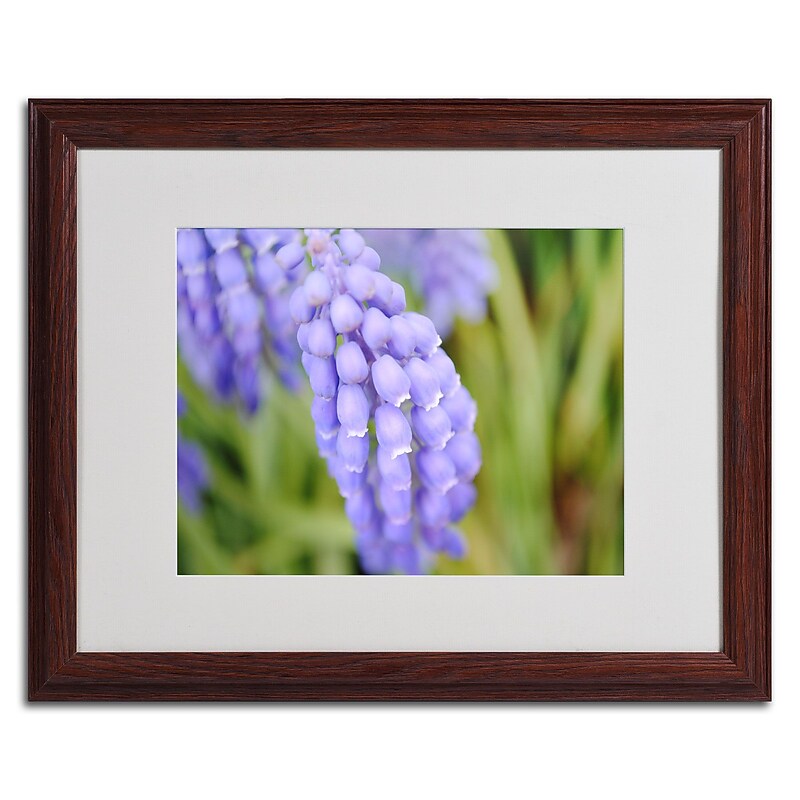 Trademark Monica Fleet "Pulchritudinous" Art, White Matte W/Wood Frame, 16" x 20" image 1