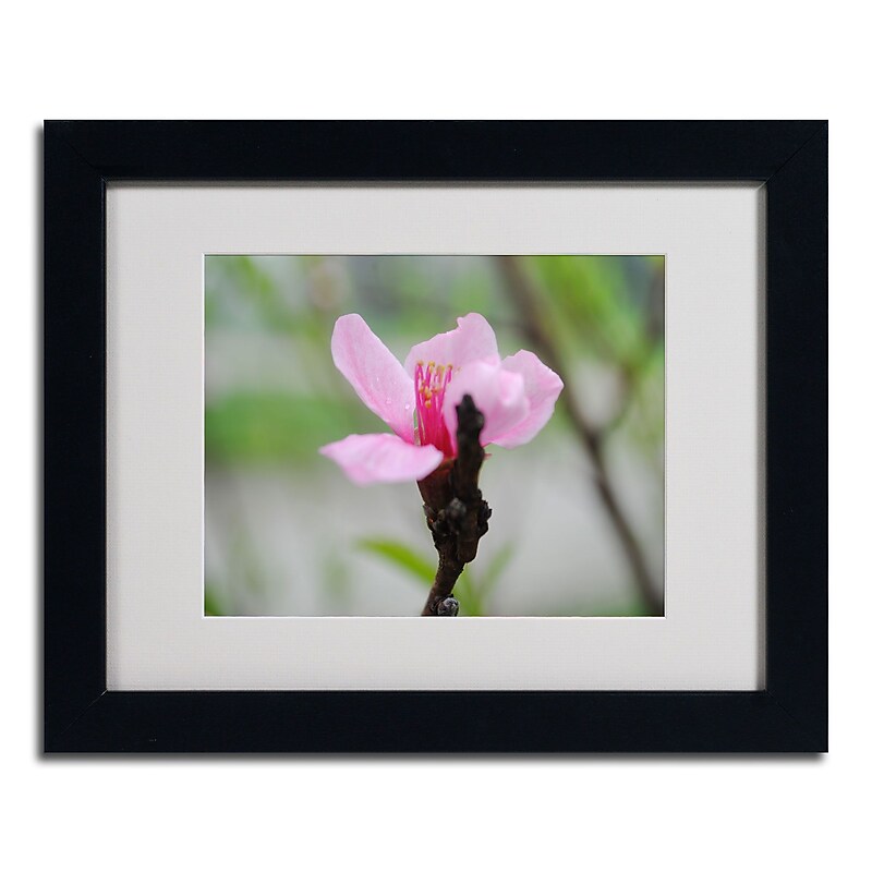 Trademark Monica Fleet "Simplicity" Art, White Matte W/Black Frame, 11" x 14" image 1