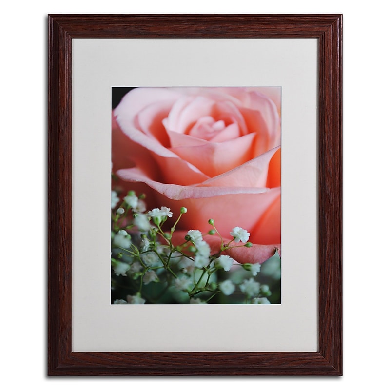 Trademark Monica Fleet "Snug Blossom" Art, White Matte W/Wood Frame, 16" x 20" image 1