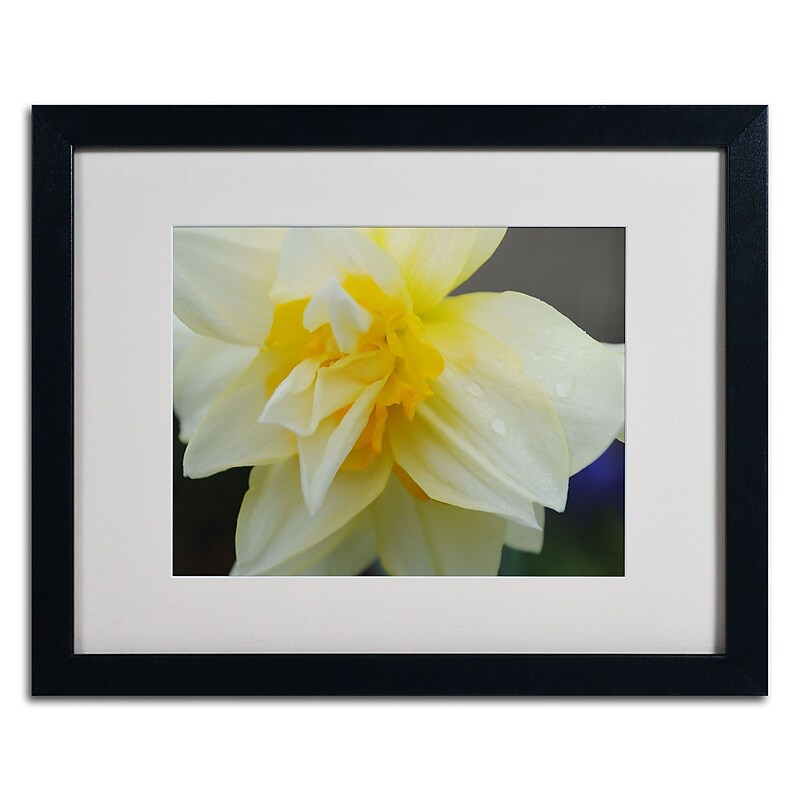 Trademark Monica Fleet "Sparkling Truth" Art, White Matte W/Black Frame, 16" x 20" image 1
