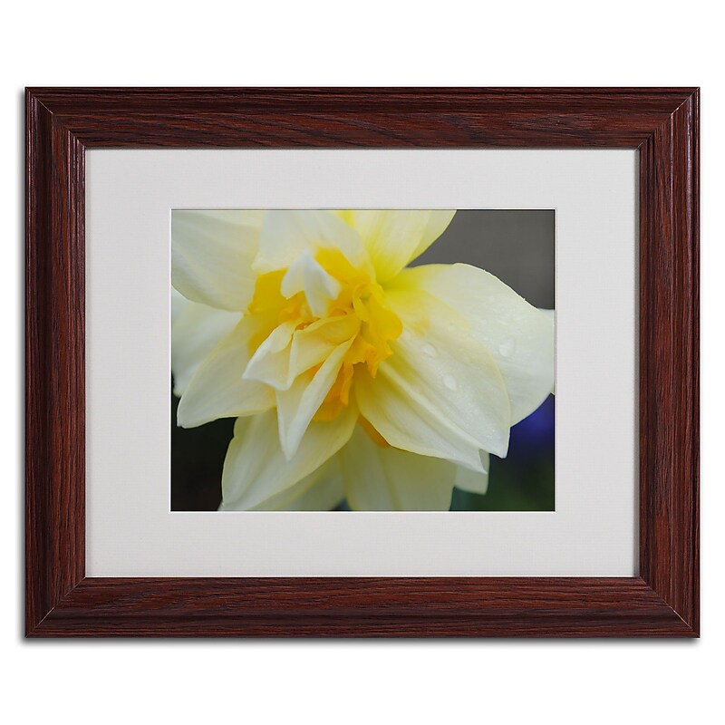 Trademark Monica Fleet "Sparkling Truth" Art, White Matte W/Wood Frame, 11" x 14" image 1