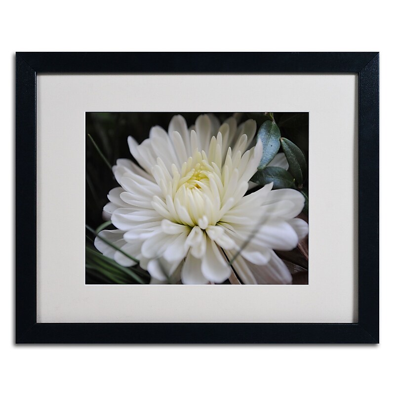 Trademark Monica Fleet "Vintage Culture" Art, White Matte W/Black Frame, 16" x 20" image 1