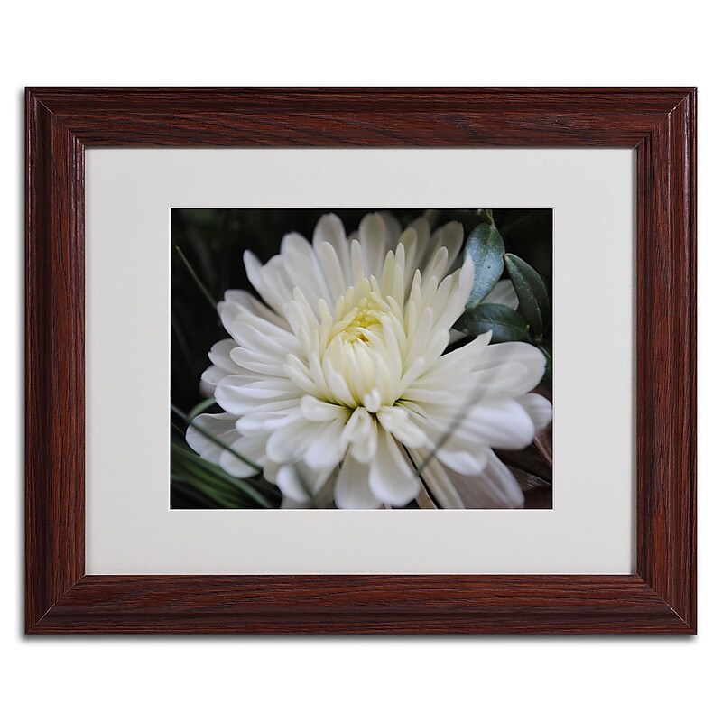 Trademark Monica Fleet "Vintage Culture" Art, White Matte W/Wood Frame, 11" x 14" image 1