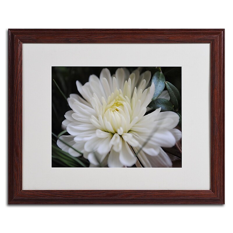 Trademark Monica Fleet "Vintage Culture" Art, White Matte W/Wood Frame, 16" x 20" image 1