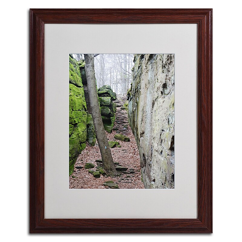 Trademark Monica Fleet "Vision Of Fairytale" Art, White Matte W/Wood Frame, 16" x 20" image 1