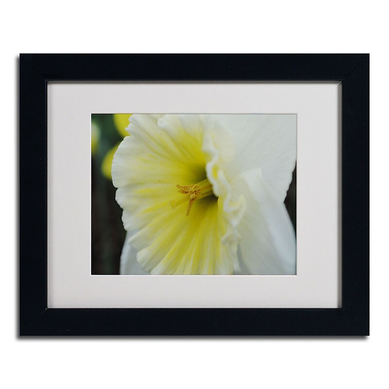 Trademark Monica Fleet "Vitality" Art, White Matte W/Black Frame, 11" x 14" image 1