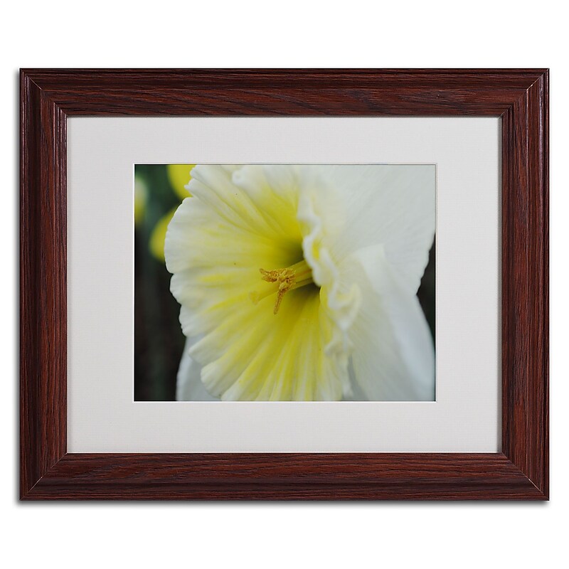 Trademark Monica Fleet "Vitality" Art, White Matte W/Wood Frame, 11" x 14" image 1