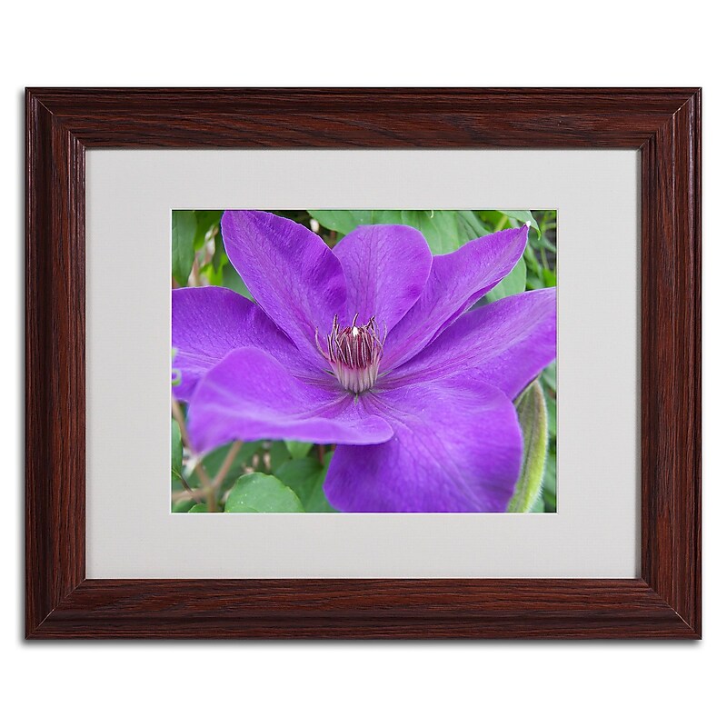 Trademark Monica Fleet "Purple Flower" Art, White Matte W/Wood Frame, 11" x 14" image 1